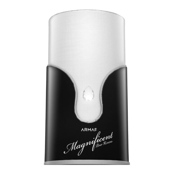 Armaf Magnificent Pour Homme parfumirana voda za moške 100 ml