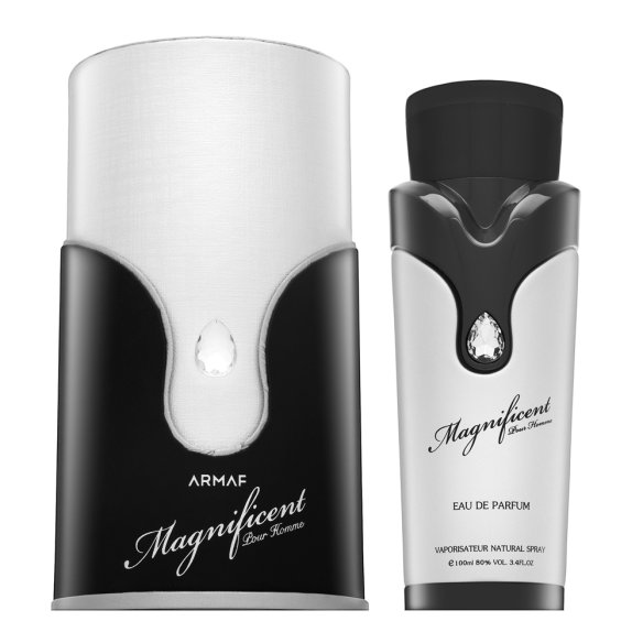 Armaf Magnificent Pour Homme parfumirana voda za moške 100 ml