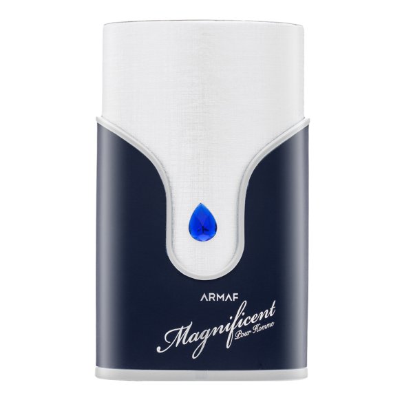 Armaf Magnificent Blue Pour Homme Eau de Parfum férfiaknak 100 ml