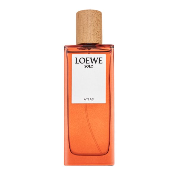 Loewe Solo Atlas parfémovaná voda za muškarce 50 ml