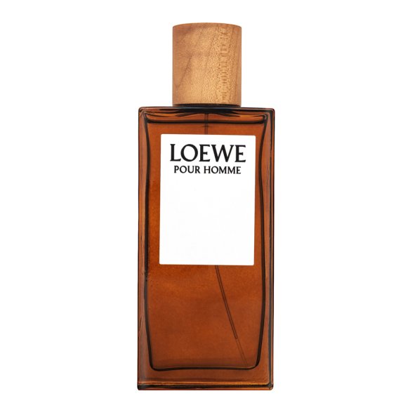 Loewe Pour Homme Eau de Toilette bărbați 100 ml