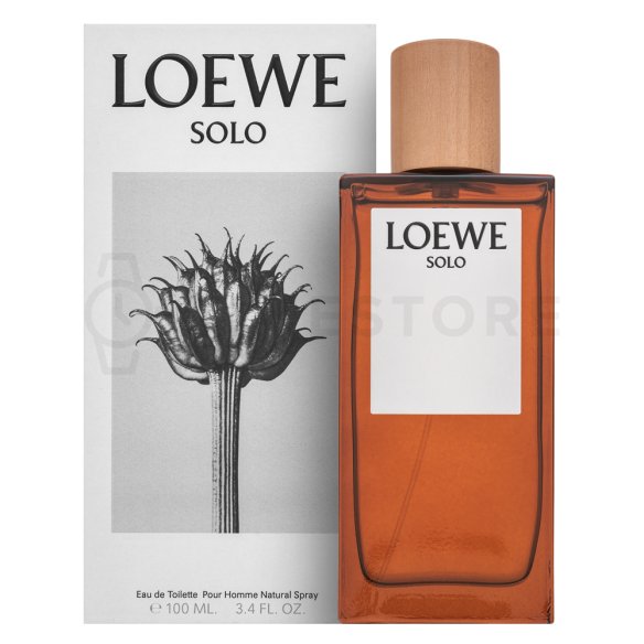 Loewe Solo Loewe Pour Homme toaletní voda pro muže 100 ml