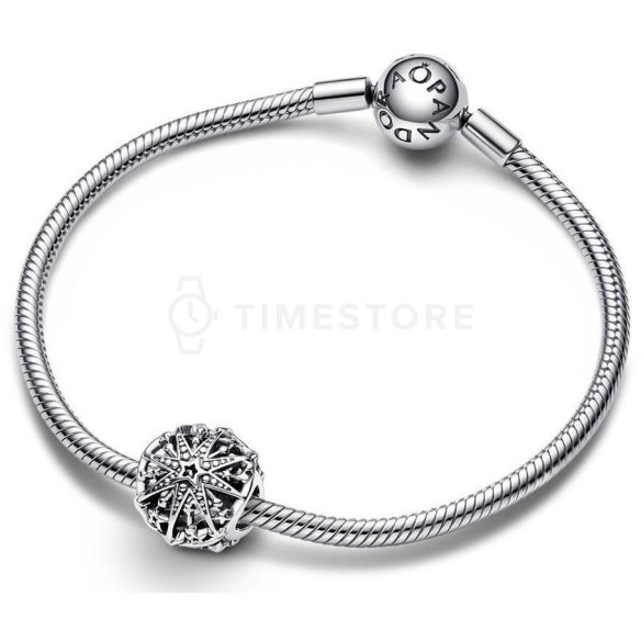 Charms Pandora Moments