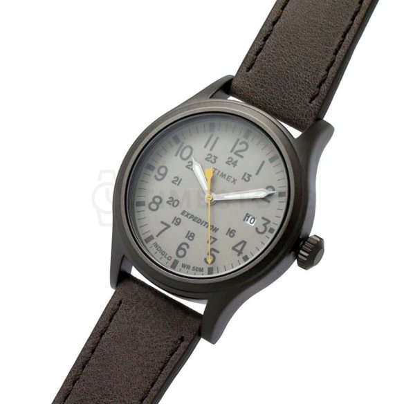 Timex Expedition Scout