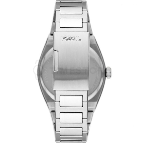 Fossil Everett