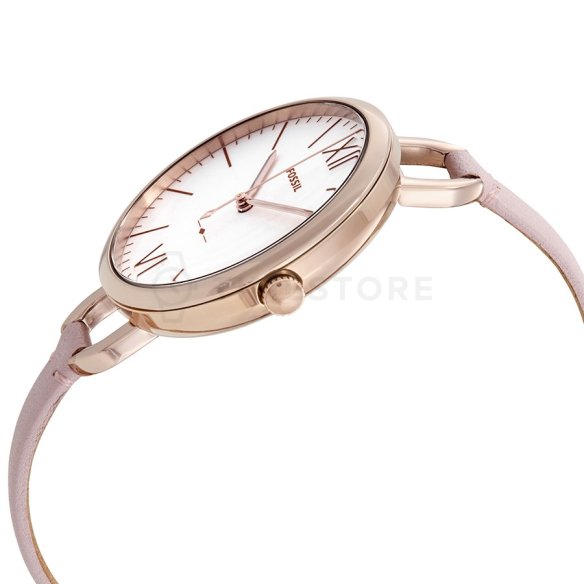 Fossil Anette