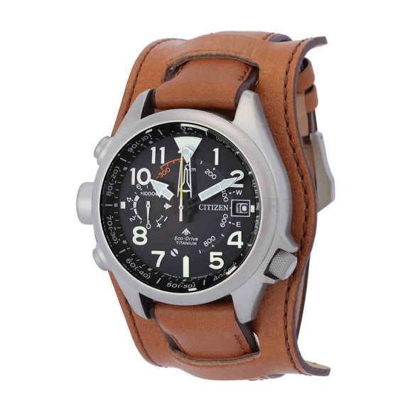 Citizen Promaster