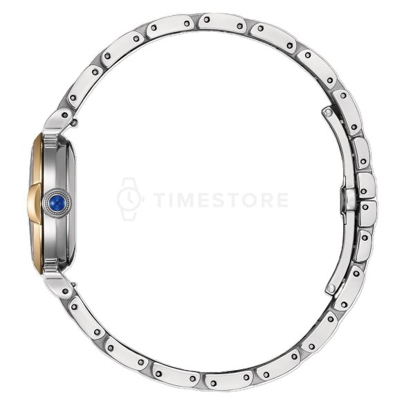 Citizen Elegance