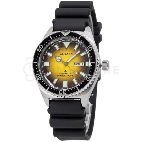 Citizen Promaster