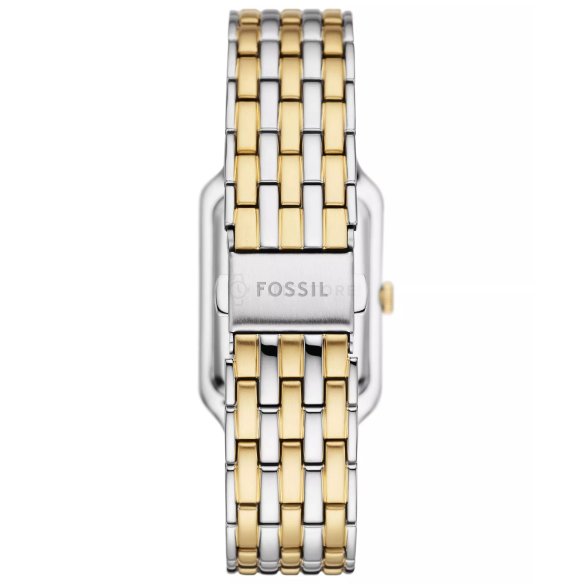 Fossil Raquel