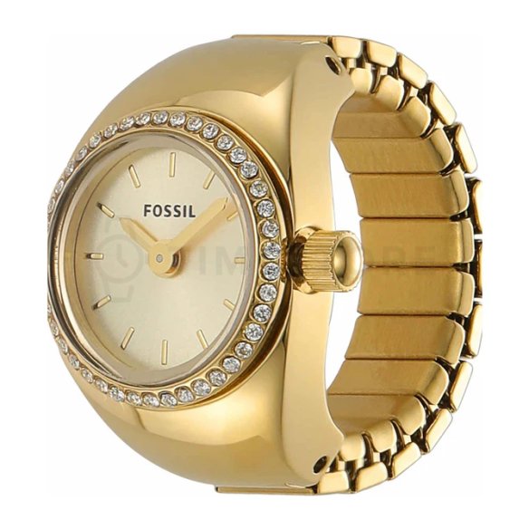 Fossil