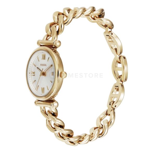 Fossil Carlie