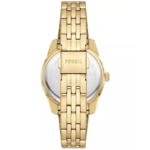 Fossil Scarlette