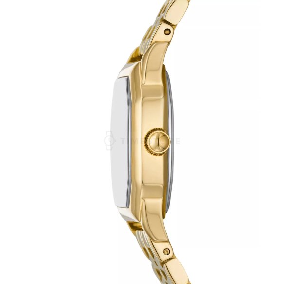Fossil Harlow