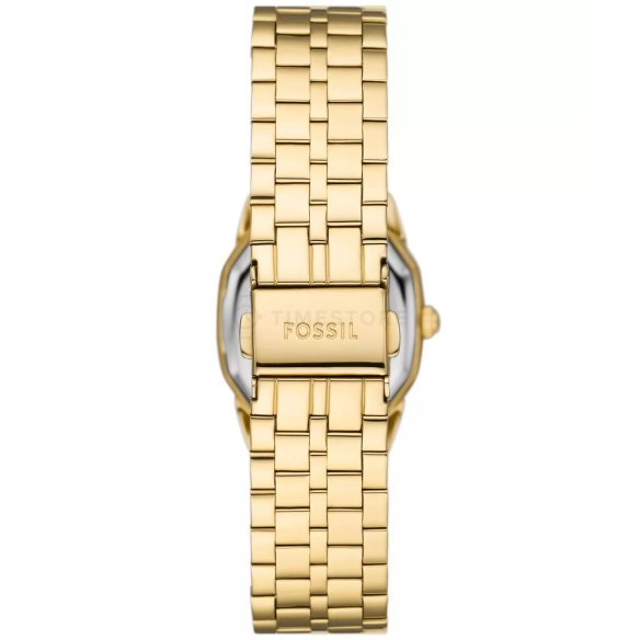 Fossil Harlow