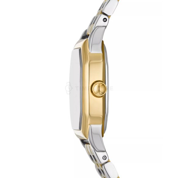 Fossil Harlow