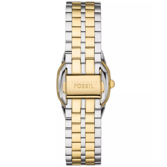 Fossil Harlow