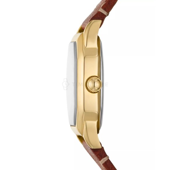 Fossil Harlow