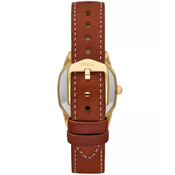 Fossil Harlow