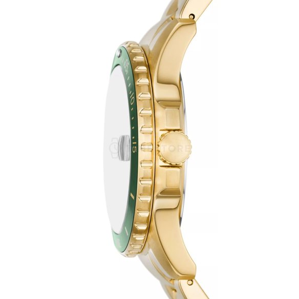 Fossil Fossil Blue