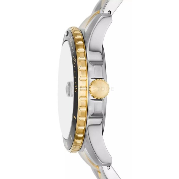 Fossil Fossil Blue