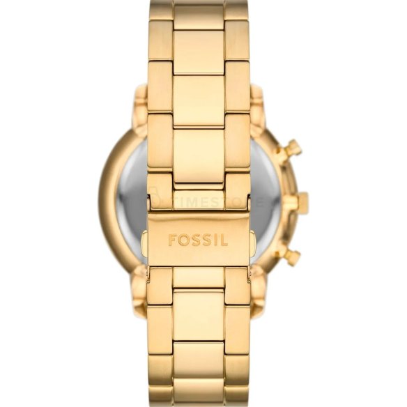 Fossil Neutra