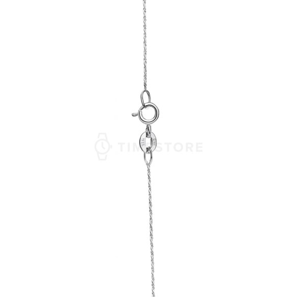Catena d'argento, design delicato