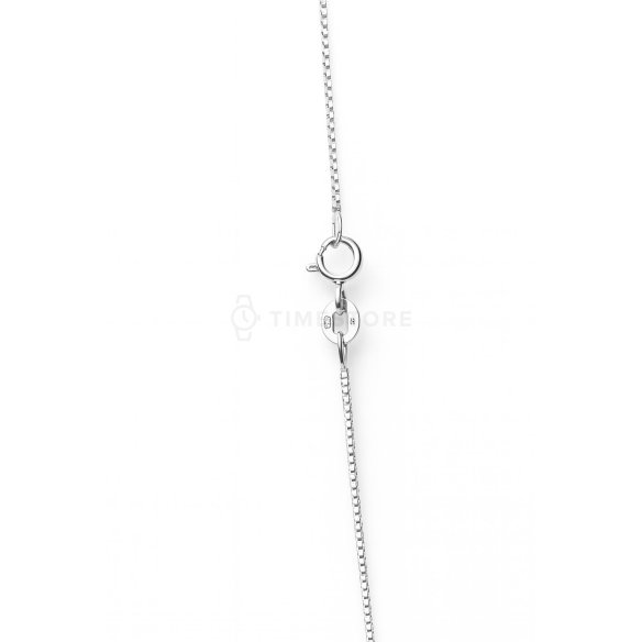 Catena d'argento, design delicato