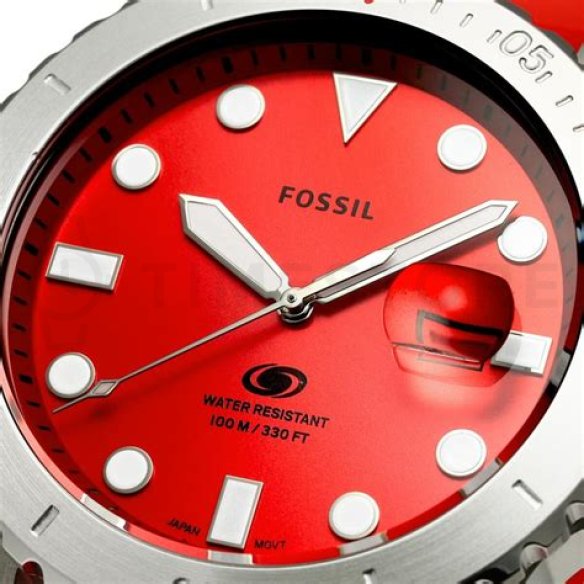 Fossil 