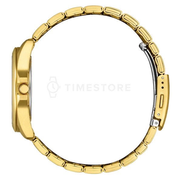 Citizen Quartz