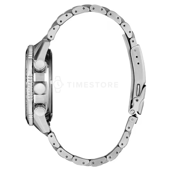 Citizen Promaster