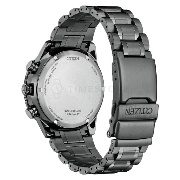 Citizen Promaster