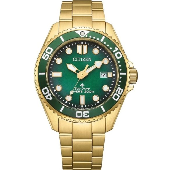 Citizen Promaster