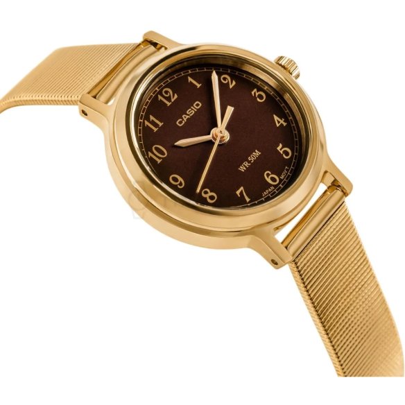 Casio Classic