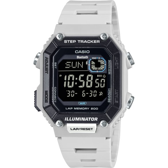 Casio Classic