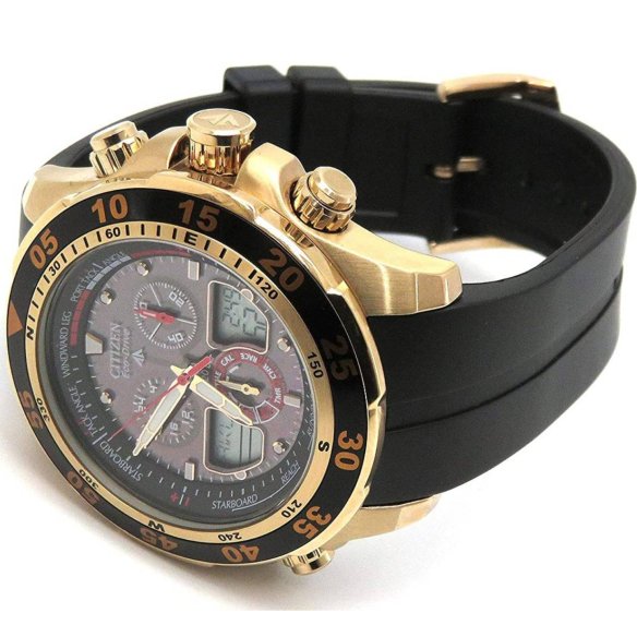 Citizen Promaster