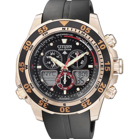 Citizen Promaster