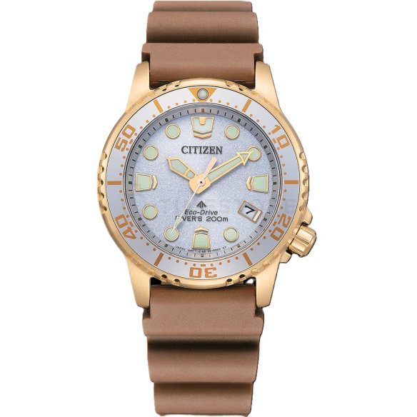 Citizen Promaster
