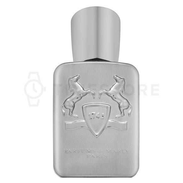 Parfums de Marly Pegasus parfémovaná voda pre mužov 75 ml