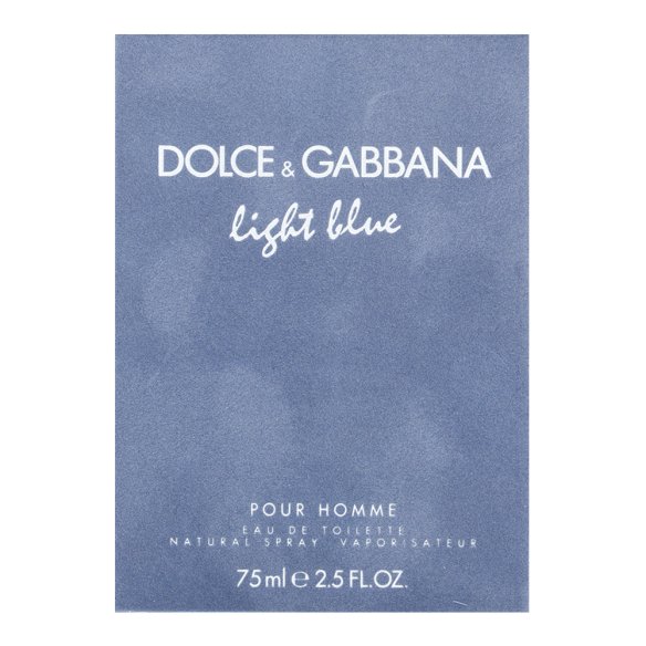 Dolce & Gabbana Light Blue Pour Homme toaletna voda za muškarce 75 ml