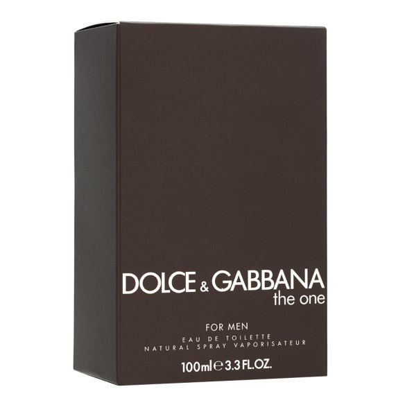 Dolce & Gabbana The One for Men toaletna voda za muškarce 100 ml