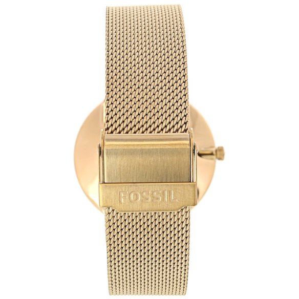 Fossil Essentialist