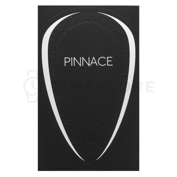 French Avenue Pinnace Noir parfémovaná voda pro muže 100 ml