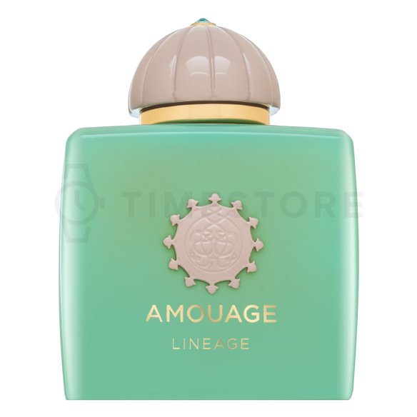 Amouage Lineage parfémovaná voda pre mužov 100 ml