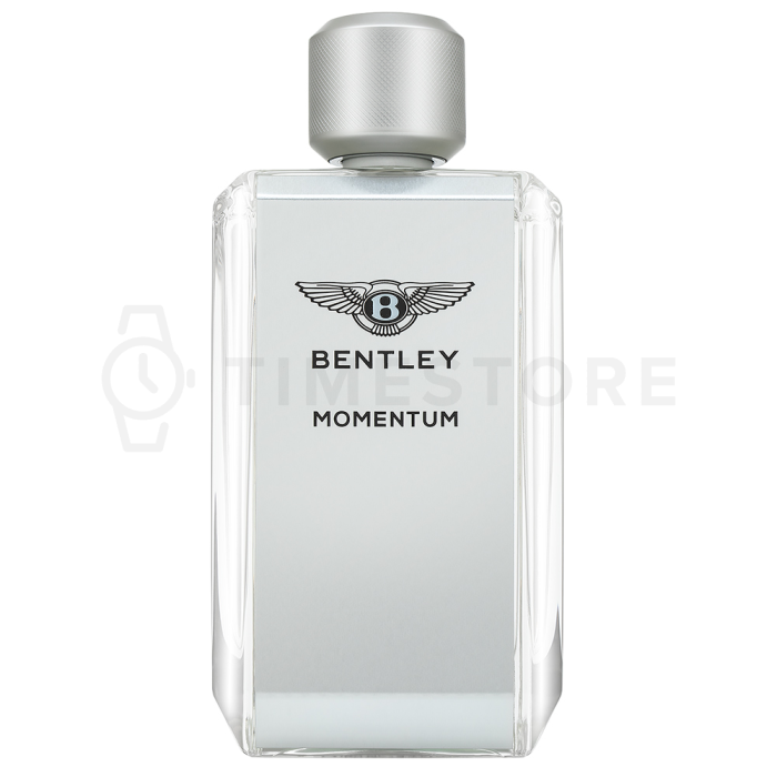 Bentley Momentum toaletná voda pre mužov 100 ml