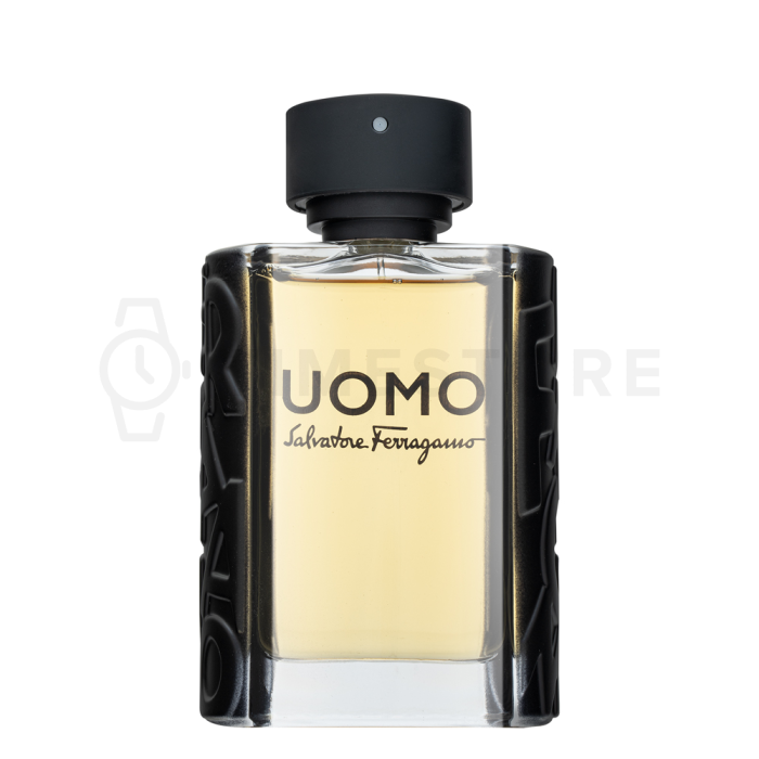 Salvatore Ferragamo Uomo toaletná voda pre mužov 100 ml