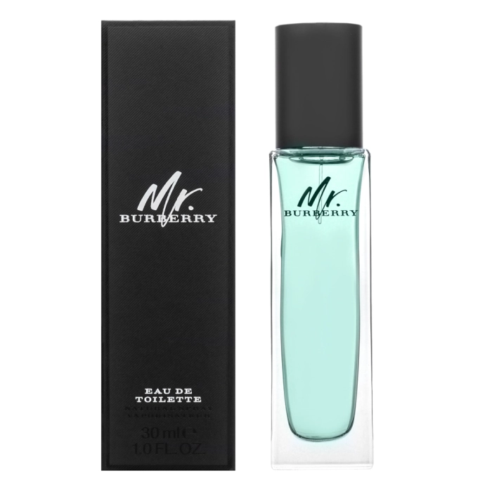 Burberry Mr. Burberry toaletná voda pre mužov 30 ml