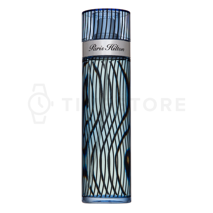 Paris Hilton Paris Hilton for Men toaletní voda pro muže 100 ml