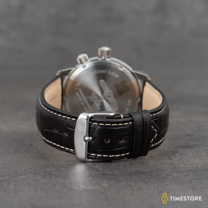 Zeppelin 100 Years Zeppelin