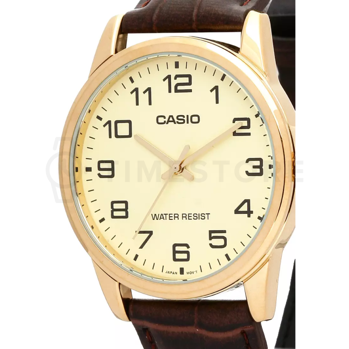 Casio Collection